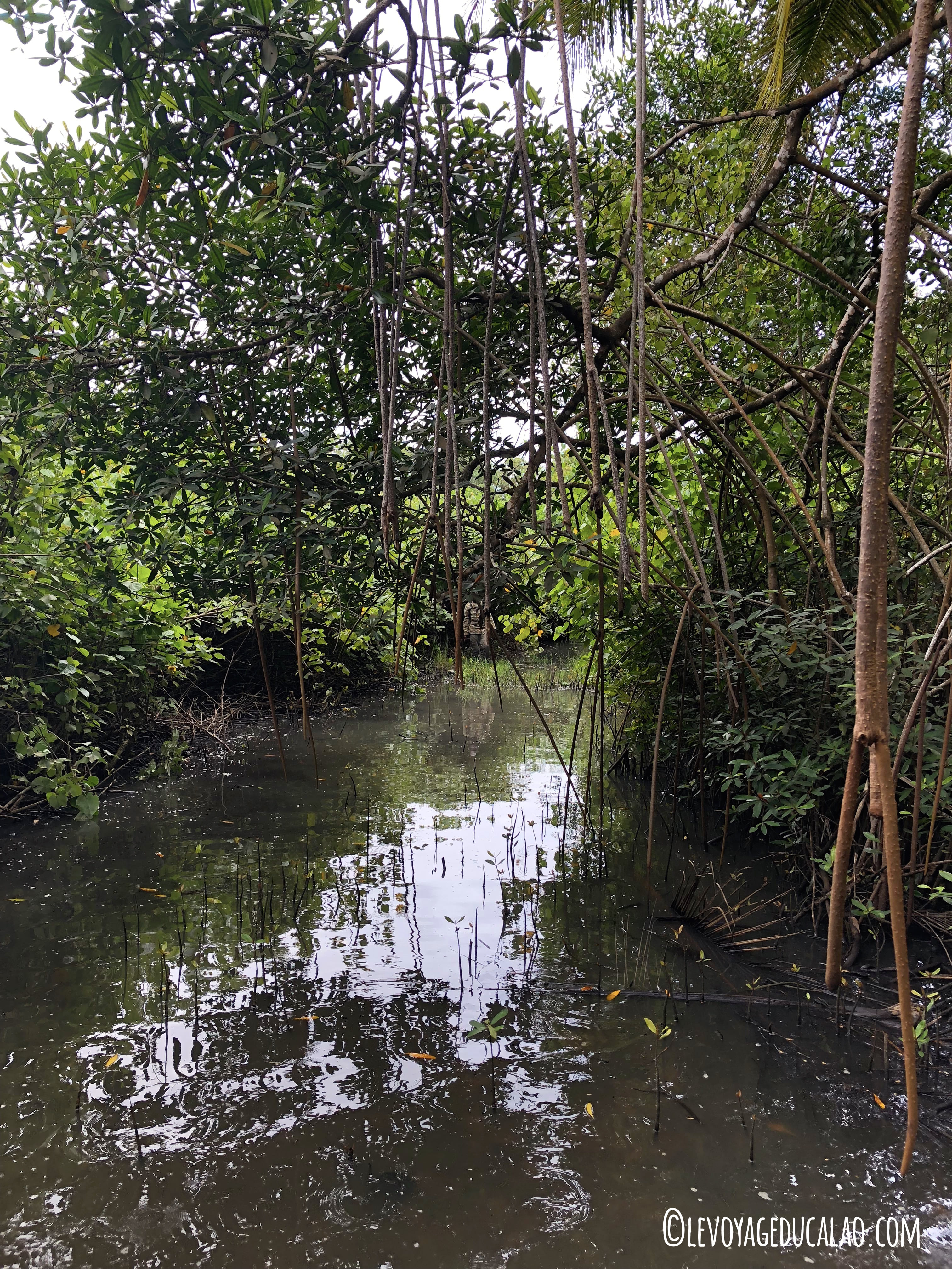 Ile Balouaté immergée